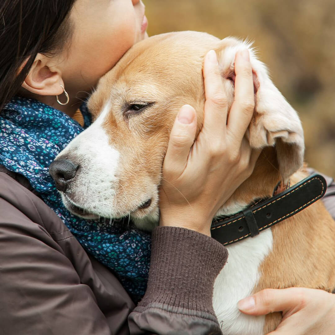 Pet Hospice and Euthanasia A woman embracing her dog